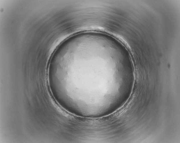 X0000072990895200608111804