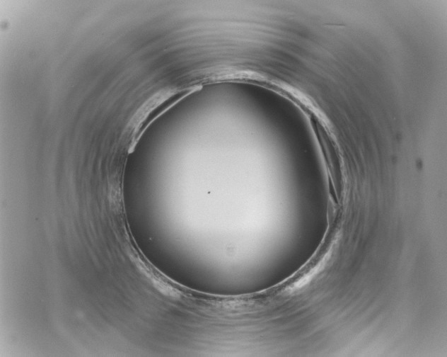 X0000072990897200608111804