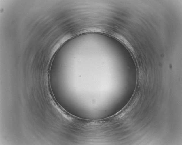 X0000072990898200608111804