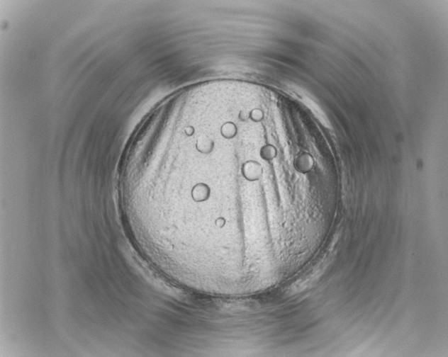 X0000072990899200608111804