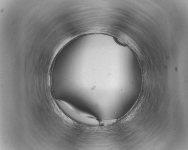 X0000072990900200608111804