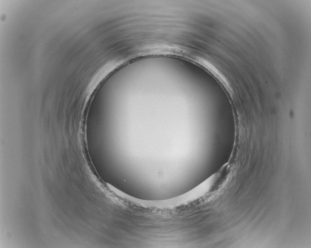 X0000072990901200608111804