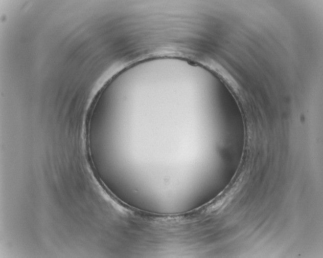 X0000072990902200608111804