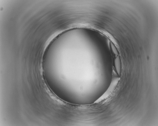 X0000072990904200608111804