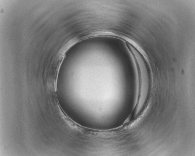 X0000072990905200608111804