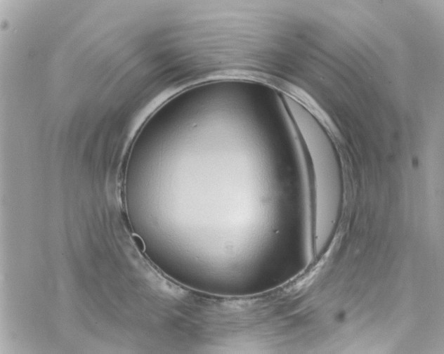 X0000072990908200608111804