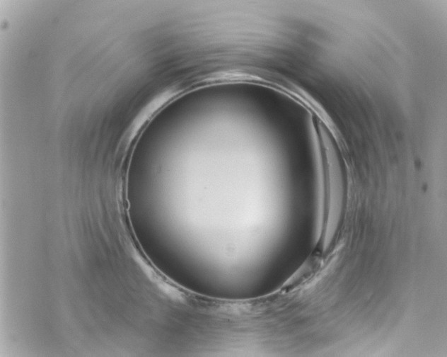 X0000072990909200608111804