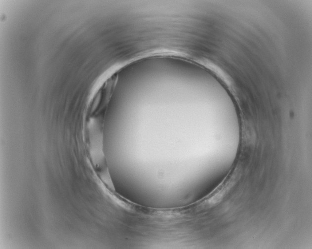 X0000072990910200608111804