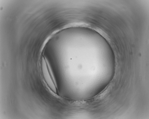 X0000072990912200608111804