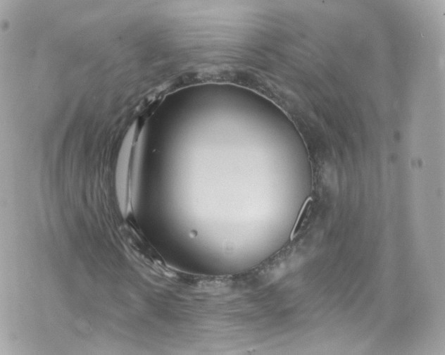 X0000072990914200608111803