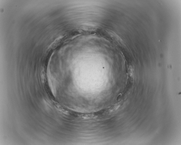 X0000072990915200608111803