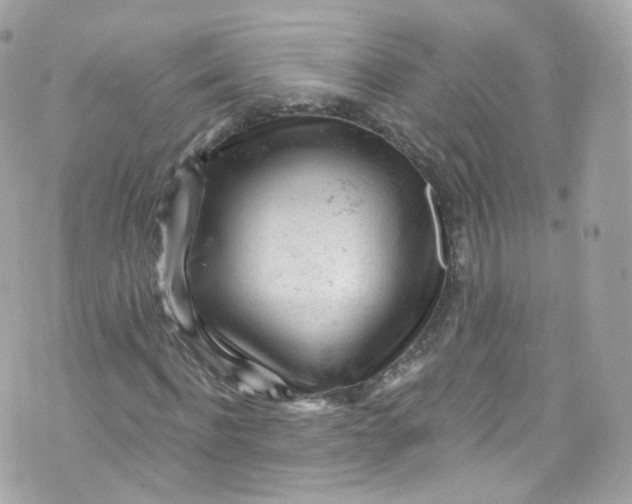 X0000072990916200608111803