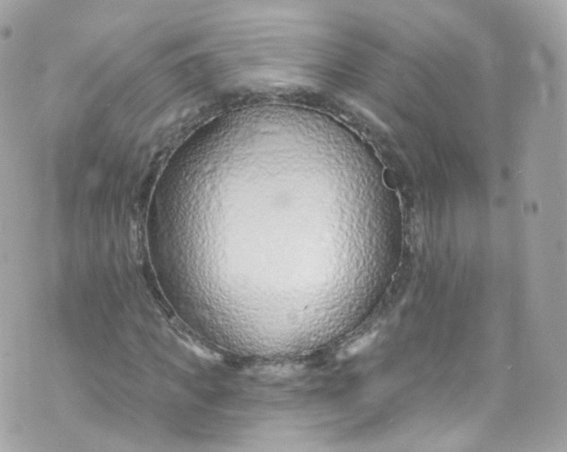 X0000072990917200608111803