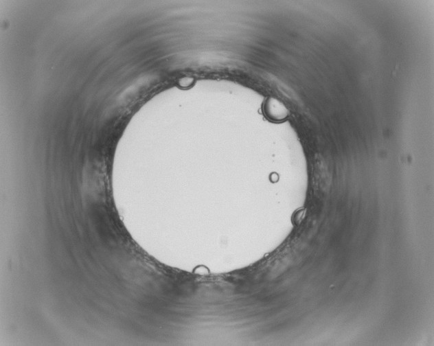 X0000072990918200608111803