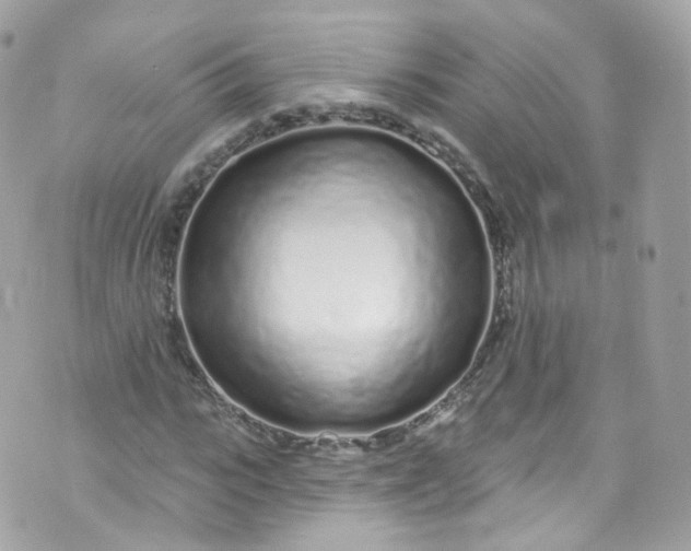 X0000072990919200608111803