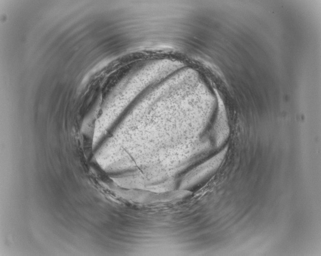 X0000072990920200608111803