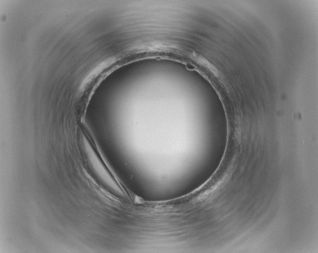 X0000072990922200608111803