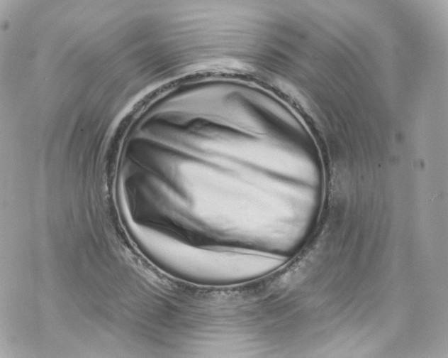 X0000072990923200608111803