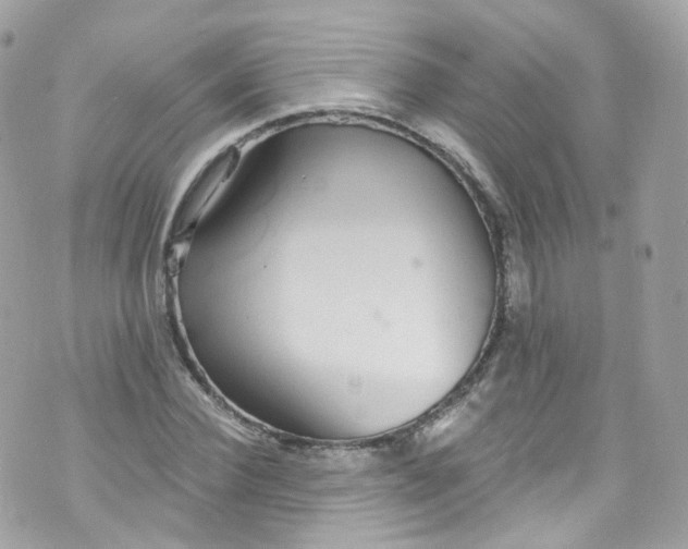 X0000072990924200608111803