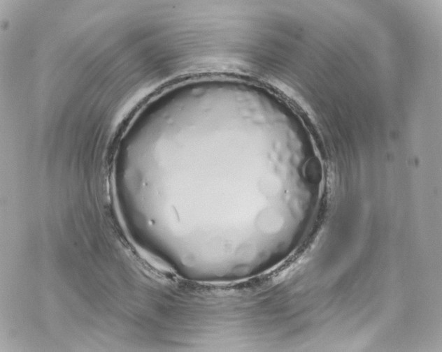 X0000072990925200608111803