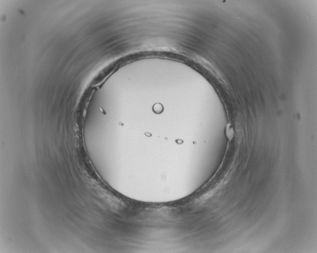 X0000072990926200608111803