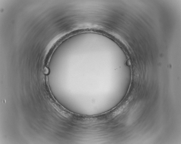 X0000072990927200608111803