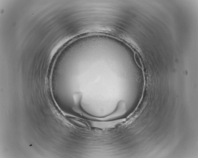 X0000072990928200608111803