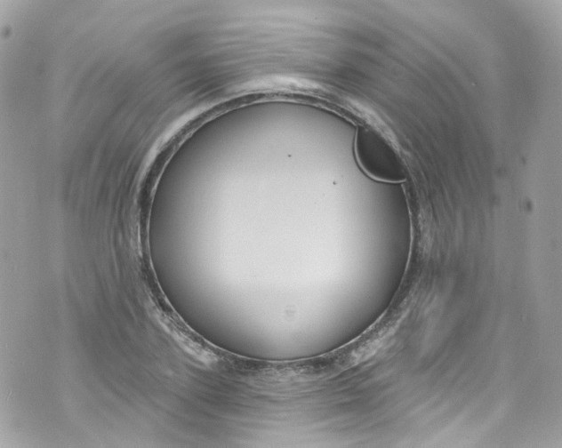 X0000072990931200608111803