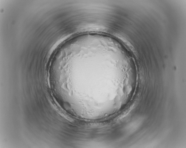 X0000072990933200608111803