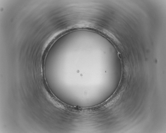 X0000072990934200608111803