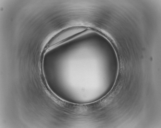 X0000072990935200608111803