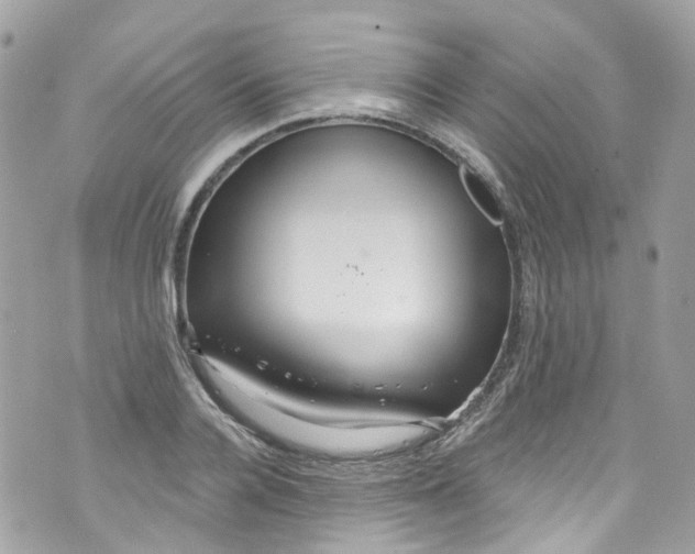 X0000072990936200608111803