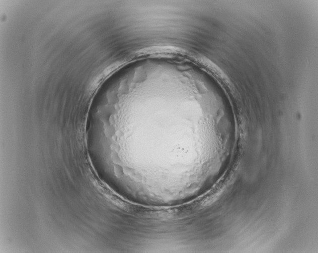 X0000072990937200608111803