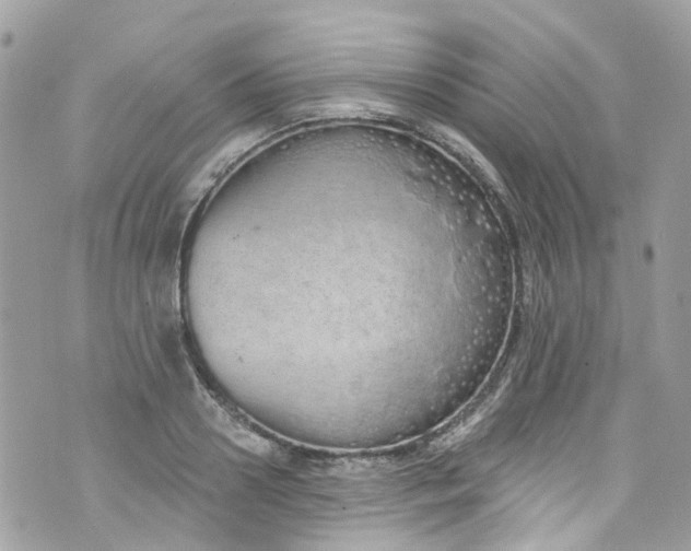 X0000072990938200608111803