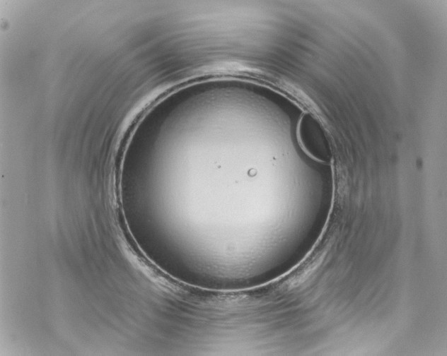 X0000072990939200608111803