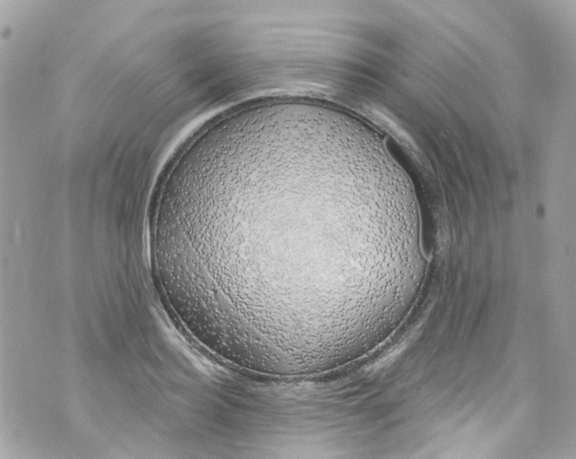 X0000072990940200608111803