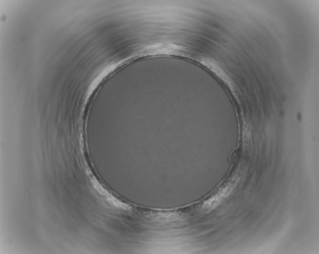 X0000072990941200608111803