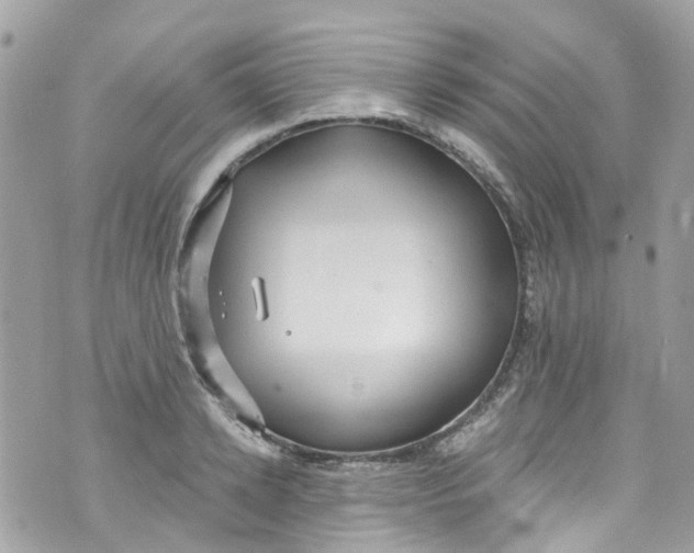 X0000072990942200608111803