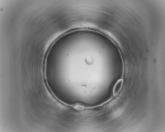 X0000072990943200608111803