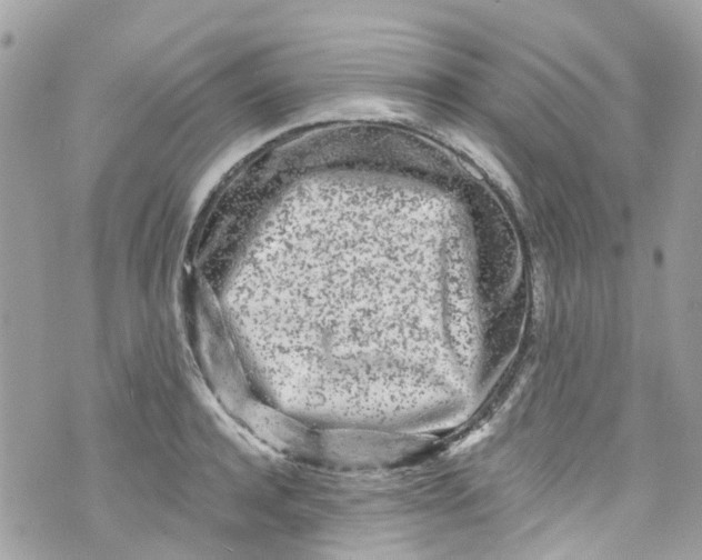 X0000072990944200608111803