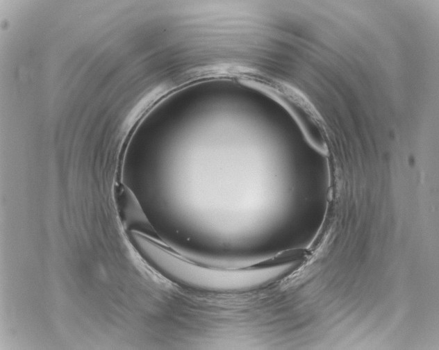 X0000072990946200608111803