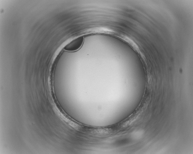 X0000072990947200608111803