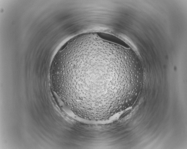 X0000072990948200608111803