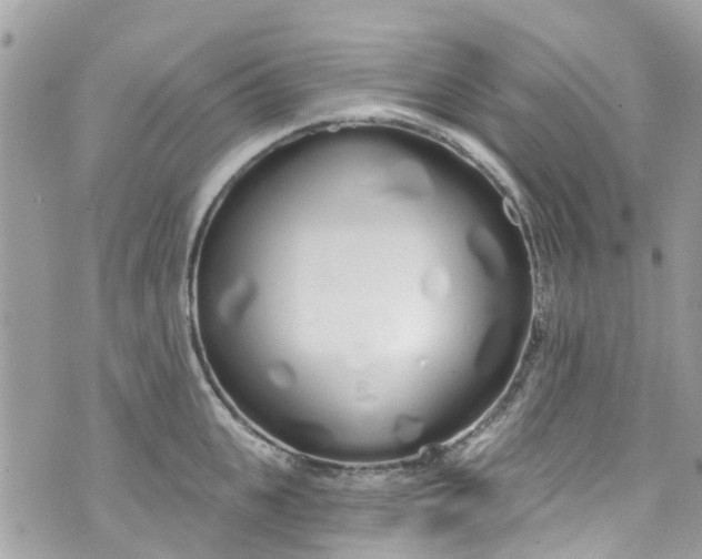 X0000072990951200608111803