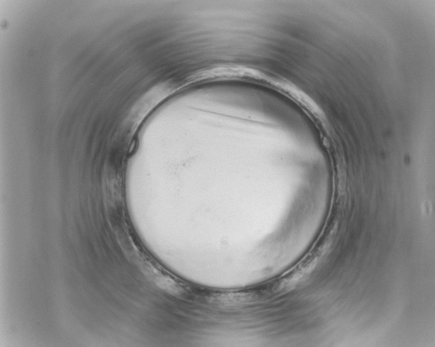 X0000072990953200608111803