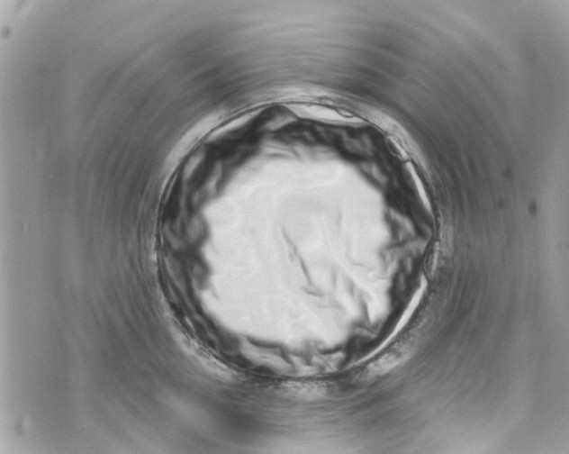 X0000072990954200608111804