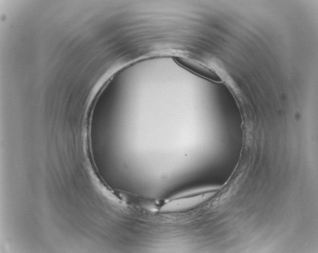 X0000072990955200608111804