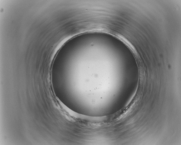 X0000072990956200608111804