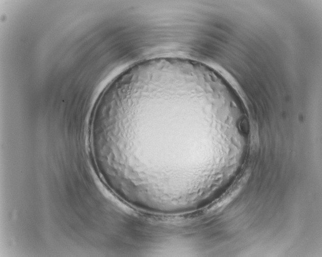 X0000072990957200608111804