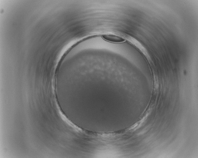 X0000072990958200608111804